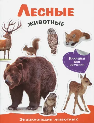 Лесные животные. Энциклопедия животных с наклейками обложка книги