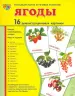 Миниатюра 1