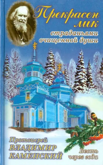 Данилушкина, Ильюнина - Прекрасен лик страданьями очищенной души. Протоиерей Владимир Каменский. Весть через года обложка книги