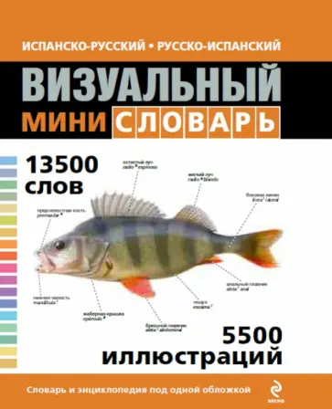 Испанско-русский русско-испанский визуальный мини-словарь обложка книги