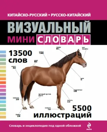 Китайско-русский русско-китайский визуальный мини-словарь обложка книги