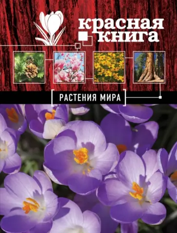 Галина Мелихова - Красная книга. Растения мира Галина Мелихова - Красная книга. Растения мира обложка книги