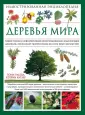 Катлер Кэтрин