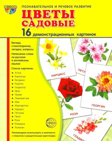 Т. Цветкова - Демонстрационные картинки "Цветы садовые" (16 штук) Т. Цветкова - Демонстрационные картинки "Цветы садовые" (16 штук) обложка книги