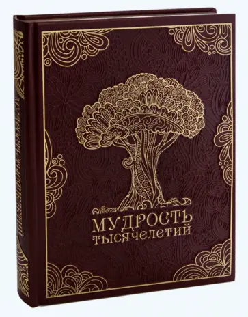 Владимир Балязин - Мудрость тысячелетий (кожа) Владимир Балязин - Мудрость тысячелетий (кожа) обложка книги