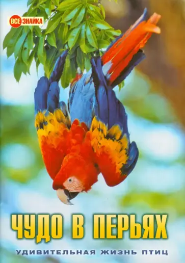О. Куронова - Чудо в перьях. Удивительная жизнь птиц обложка книги