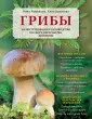 Романова Анна Геннадьевна