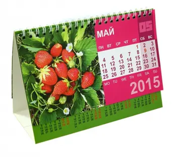 Календарь-домик 2015 "Удачи на даче" обложка книги