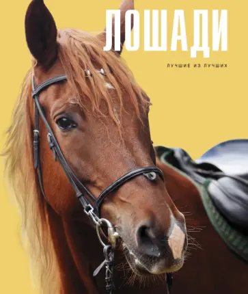 Онуфриенко, Кищук - Лошади Онуфриенко, Кищук - Лошади обложка книги