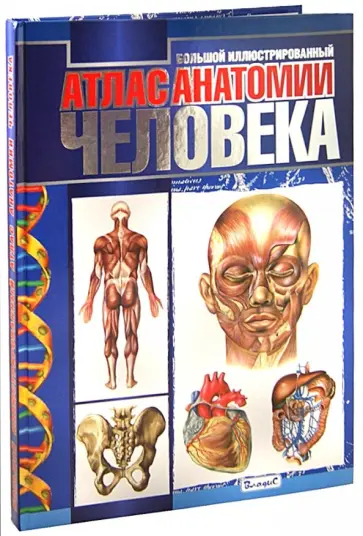 Большой иллюстрированный атлас анатомии человека Большой иллюстрированный атлас анатомии человека обложка книги