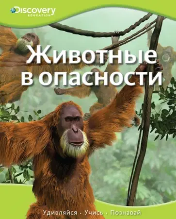Животные в опасности обложка книги