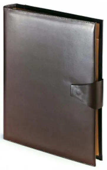 Папка с кольцевым зажимом "Bosforo" (с блокнотом, 60 листов, коричневая) (3-011/138) обложка книги