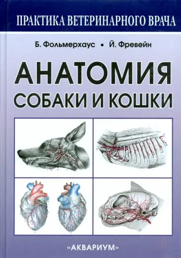 Амзельгрубер, Бёме - Анатомия собаки и кошки обложка книги