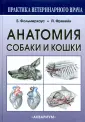 Фревейн Йозеф