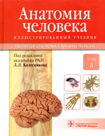 Ничипорук, Колесников - Анатомия человека. Учебник в 3-х томах. Том 3. Нервная система. Органы чувств Ничипорук, Колесников - Анатомия человека. Учебник в 3-х томах. Том 3. Нервная система. Органы чувств обложка книги