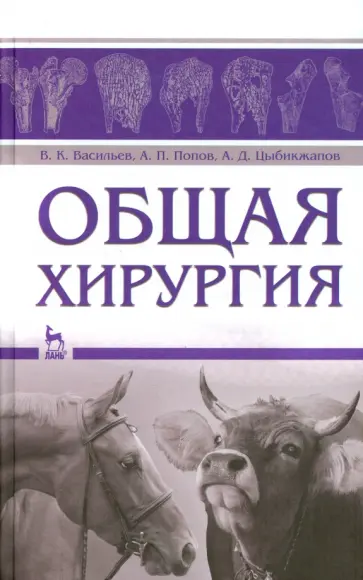 Васильев, Попов - Общая хирургия. Учебное пособие Васильев, Попов - Общая хирургия. Учебное пособие обложка книги