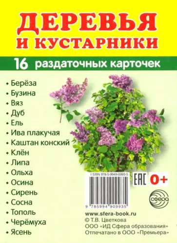 Раздаточные карточки "Деревья и кустарники" (16 карточек) обложка книги