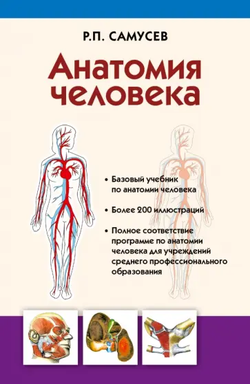 Рудольф Самусев - Анатомия человека. Учебник для студентов Рудольф Самусев - Анатомия человека. Учебник для студентов обложка книги