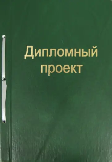 Дипломный проект (100 листов, ЗЕЛЕНЫЙ, А4) (21415) Дипломный проект (100 листов, ЗЕЛЕНЫЙ, А4) (21415) обложка книги