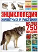 Миниатюра 1