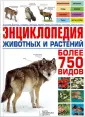 Диршке Фолькер