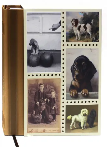 Собаки. Старинные открытки и иллюстрации Собаки. Старинные открытки и иллюстрации обложка книги