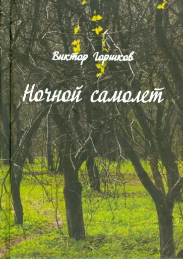 Виктор Горшков - Ночной самолёт. Стихи обложка книги