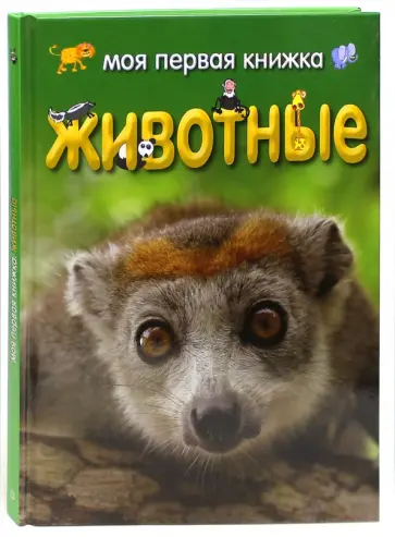 Ди Филипс - Моя первая книжка. Животные Ди Филипс - Моя первая книжка. Животные обложка книги