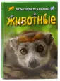 Филипс Ди