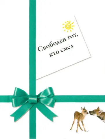 Рейчел Ланичи - Свободен тот, кто смел обложка книги