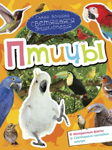 Птицы обложка книги