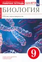 Цибулевский Александр Юрьевич
