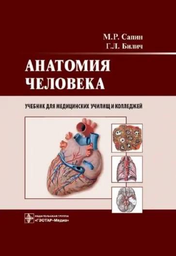 Сапин, Билич - Анатомия человека. Учебник для медицинских училищ и колледжей Сапин, Билич - Анатомия человека. Учебник для медицинских училищ и колледжей обложка книги