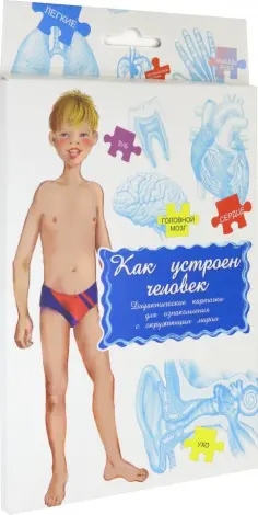 Дидактические карточки.Как устроен человек? обложка книги