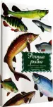 Миниатюра 2