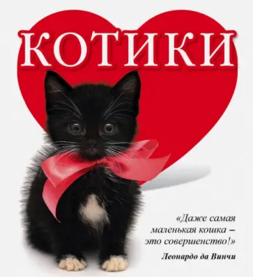 Евгения Гюнтер - Котики Евгения Гюнтер - Котики обложка книги