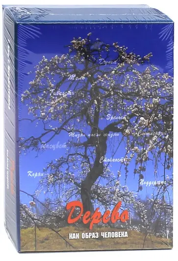 Кац, Мухаматулина - Дерево как образ человека Кац, Мухаматулина - Дерево как образ человека обложка книги