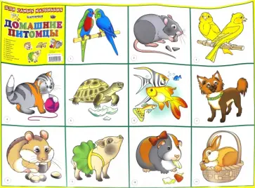 Плакат. Карточки: Домашние питомцы обложка книги