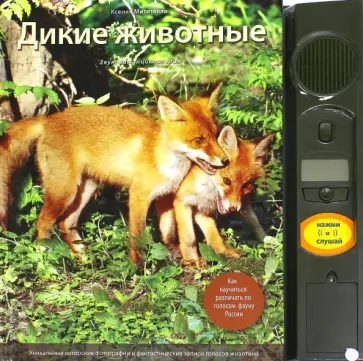 Ксения Митителло - Дикие животные. Иллюстрированная энциклопедия обитателей средней полосы России (с музыкальн.модулем) Ксения Митителло - Дикие животные. Иллюстрированная энциклопедия обитателей средней полосы России (с музыкальн.модулем) обложка книги