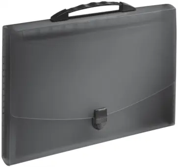 Папка-портфель A4 (40 мм, 12 отделений, черная) (624024) обложка книги