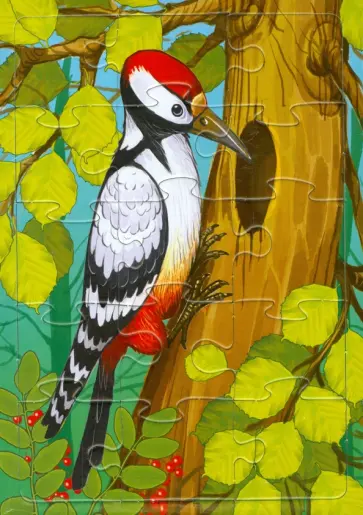 Пазл-15 "Дятел" обложка книги