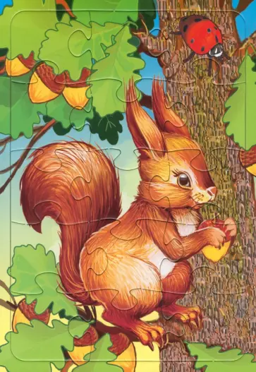 Пазл-15 "Белочка" обложка книги