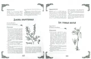 Читать онлайн «Лучший травник от знахаря. Народные рецепты здоровья», Богдан Власов – ЛитРес