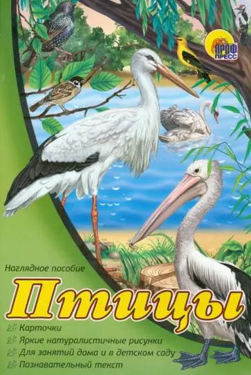 Наглядное пособие А4. Птицы обложка книги
