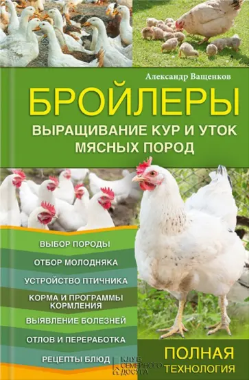 Выращивание цыплят Кобб 500 в домашних условиях: пошаговое руководство для новичков