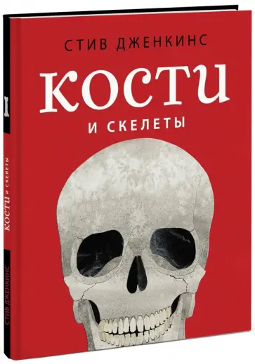 Стив Дженкинс - Кости и скелеты Стив Дженкинс - Кости и скелеты обложка книги