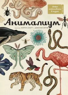 Дженни Брум - Анималиум обложка книги
