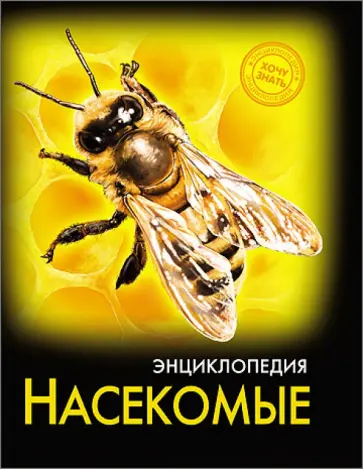 Насекомые Насекомые обложка книги