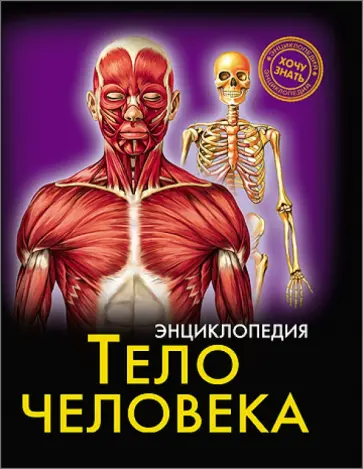 Тело человека Тело человека обложка книги