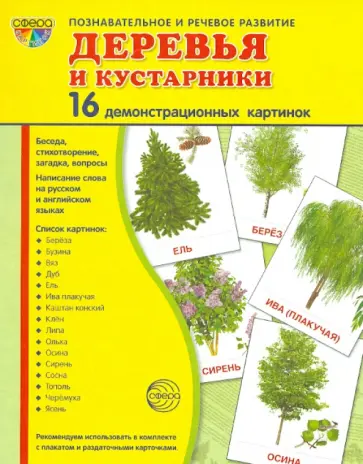 Т. Цветкова - Демонстрационные картинки "Деревья и кустарники" (173х220 мм) Т. Цветкова - Демонстрационные картинки "Деревья и кустарники" (173х220 мм) обложка книги